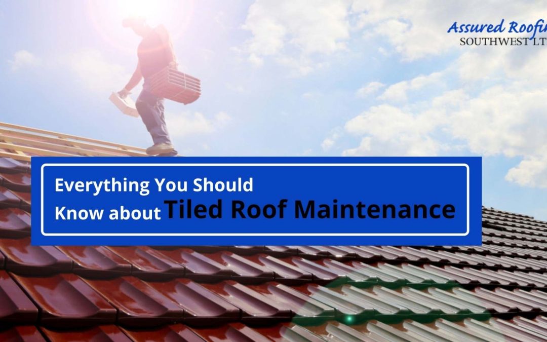 Everything You Should Know about Tiled Roof Maintenance Roofing