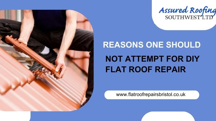Flat Roof Repair